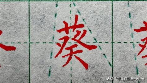 後背草字頭